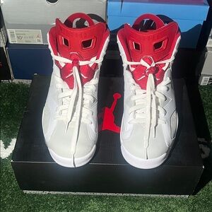 Jordan 6 Retro Alternate